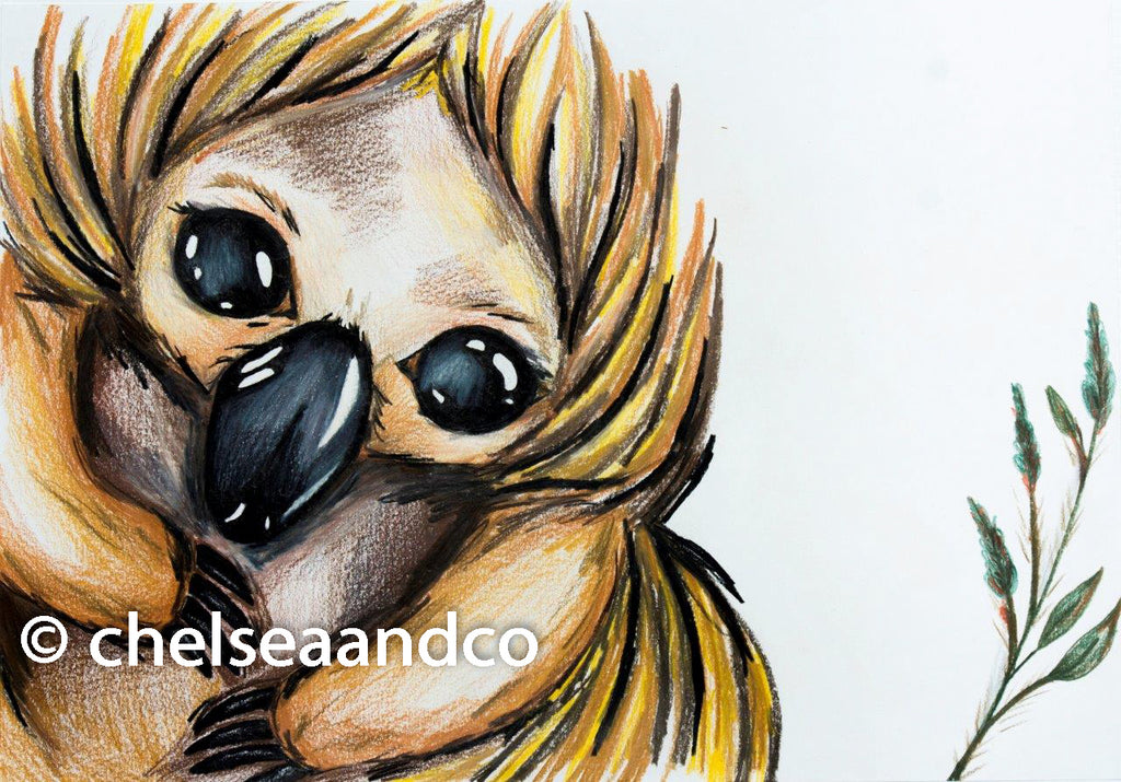 Echidna Art Print | Mabel