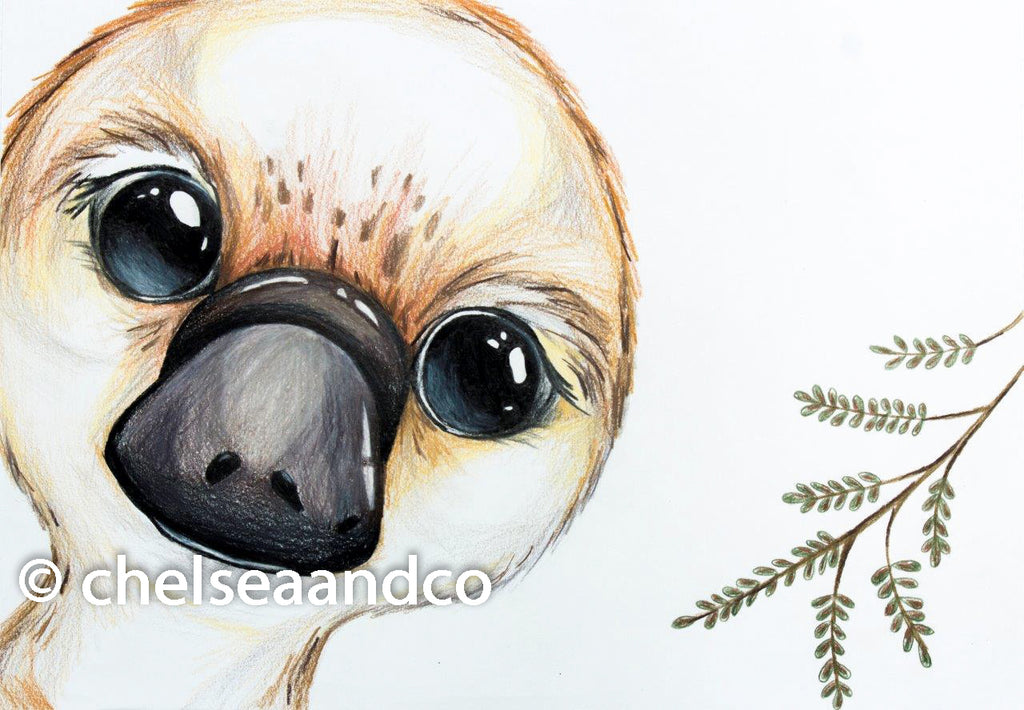 Platypus Art Print | George