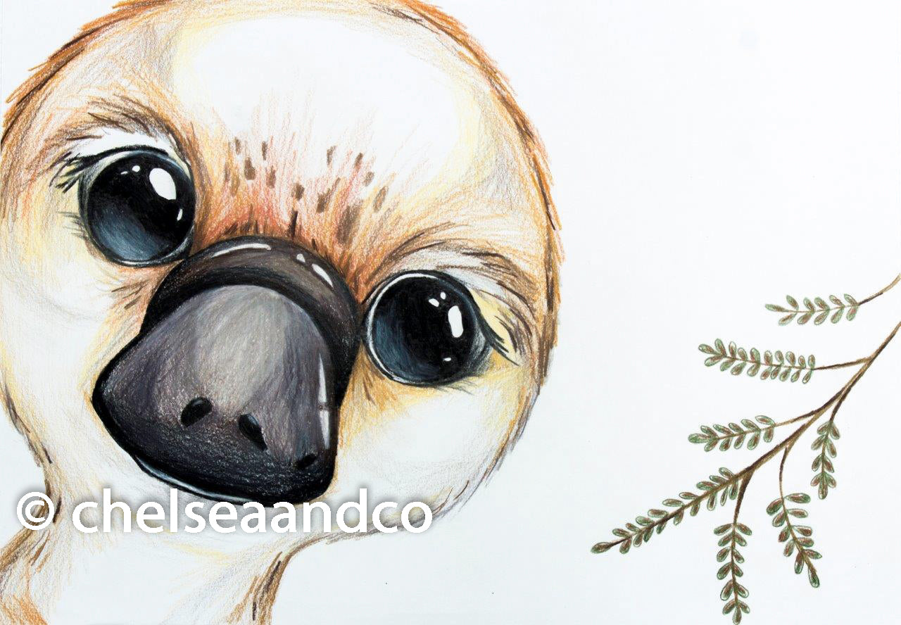 Platypus Art Print | George