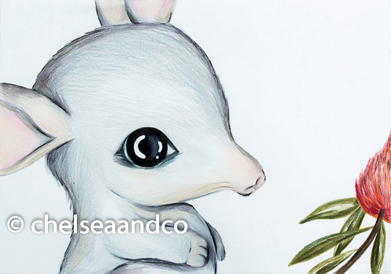 Bilby Art Print | Harry