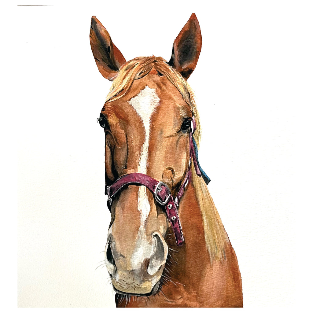 Custom Commission Horse Portrait