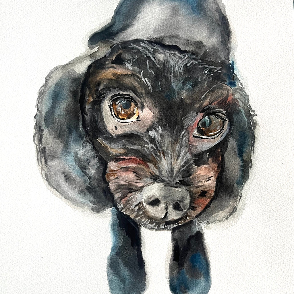 Custom Commission Dog Portrait