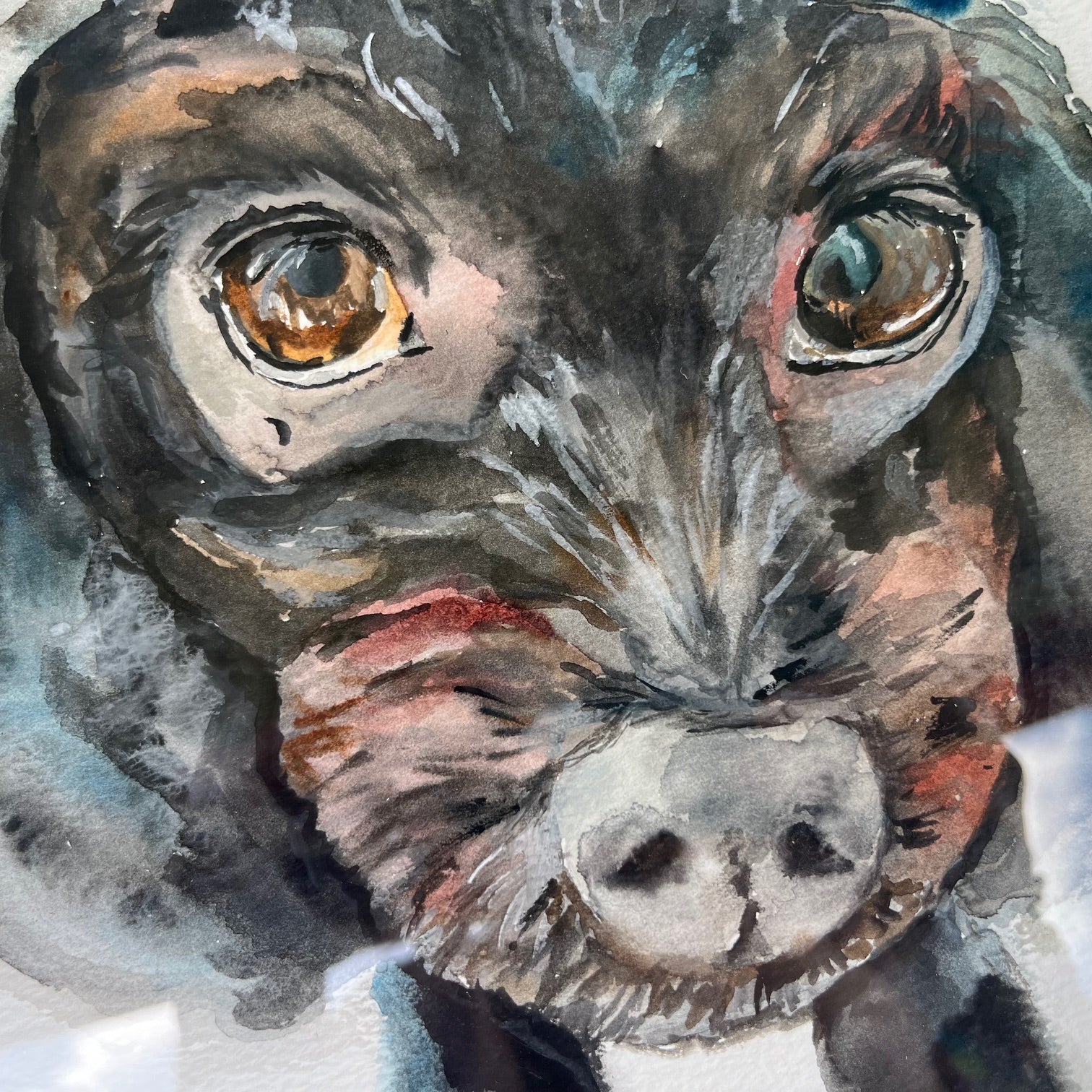 Custom Commission Dog Portrait