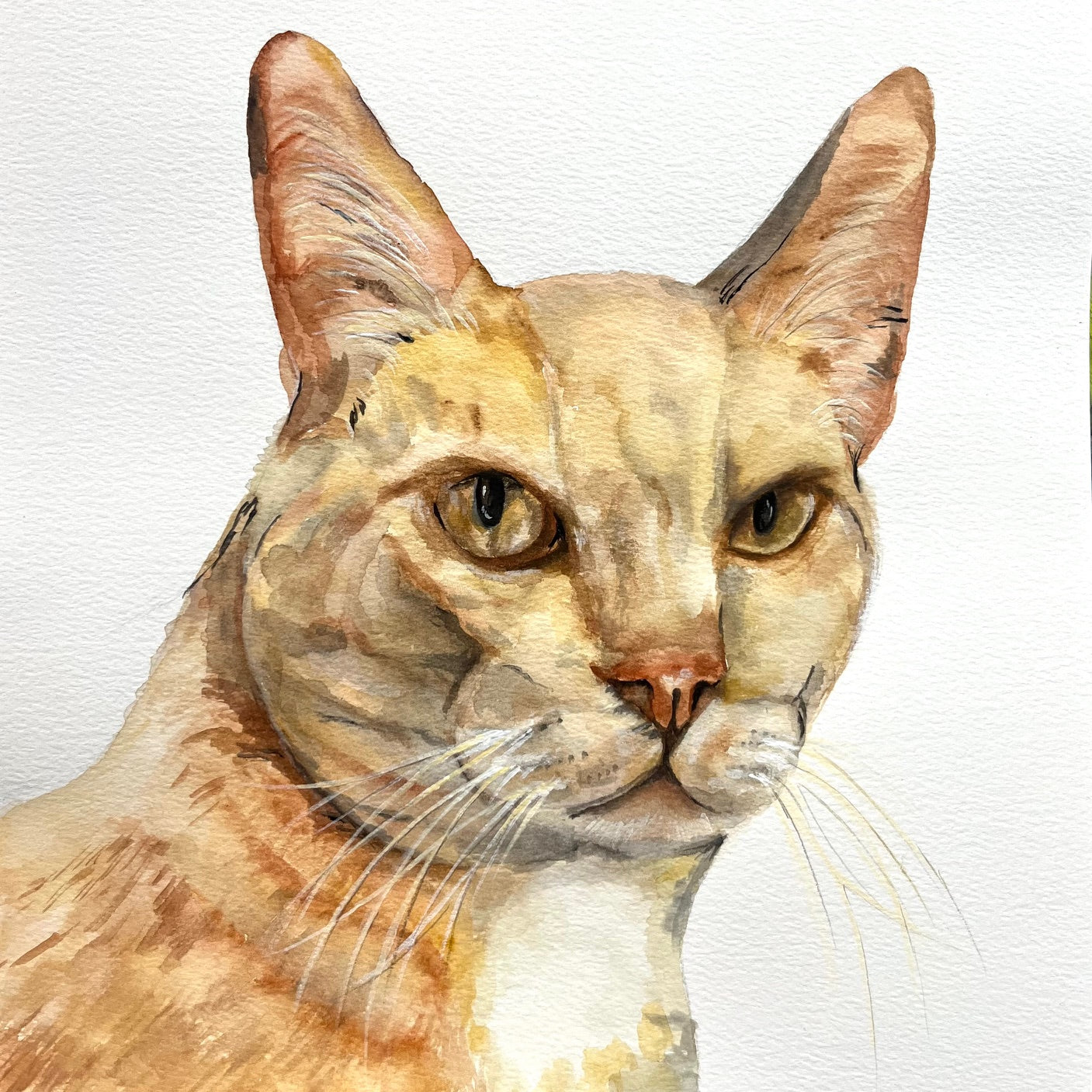 Custom Commission Cat Portrait