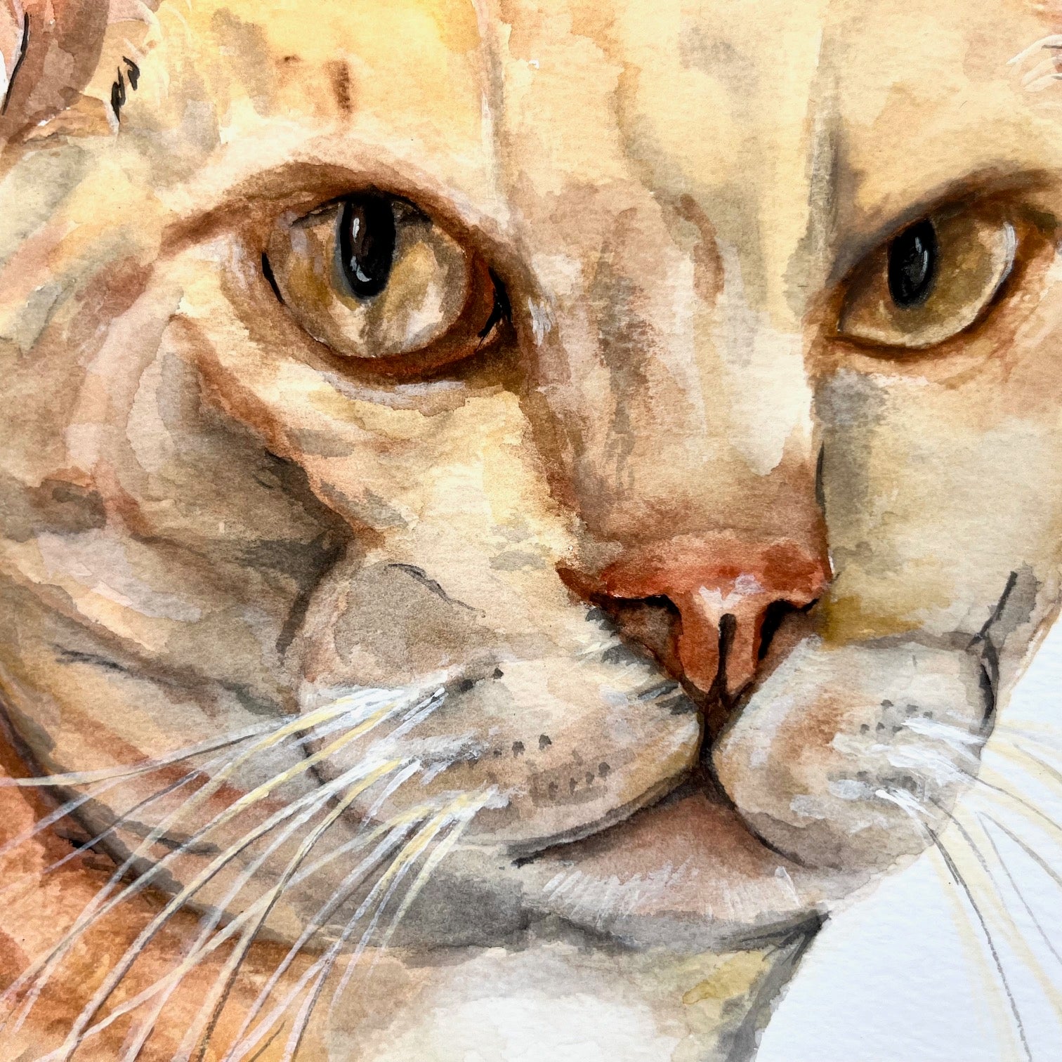 Custom Commission Cat Portrait
