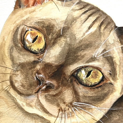 Custom Commission Cat Portrait