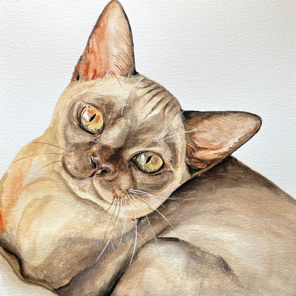 Custom Commission Cat Portrait