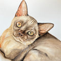 Custom Commission Cat Portrait