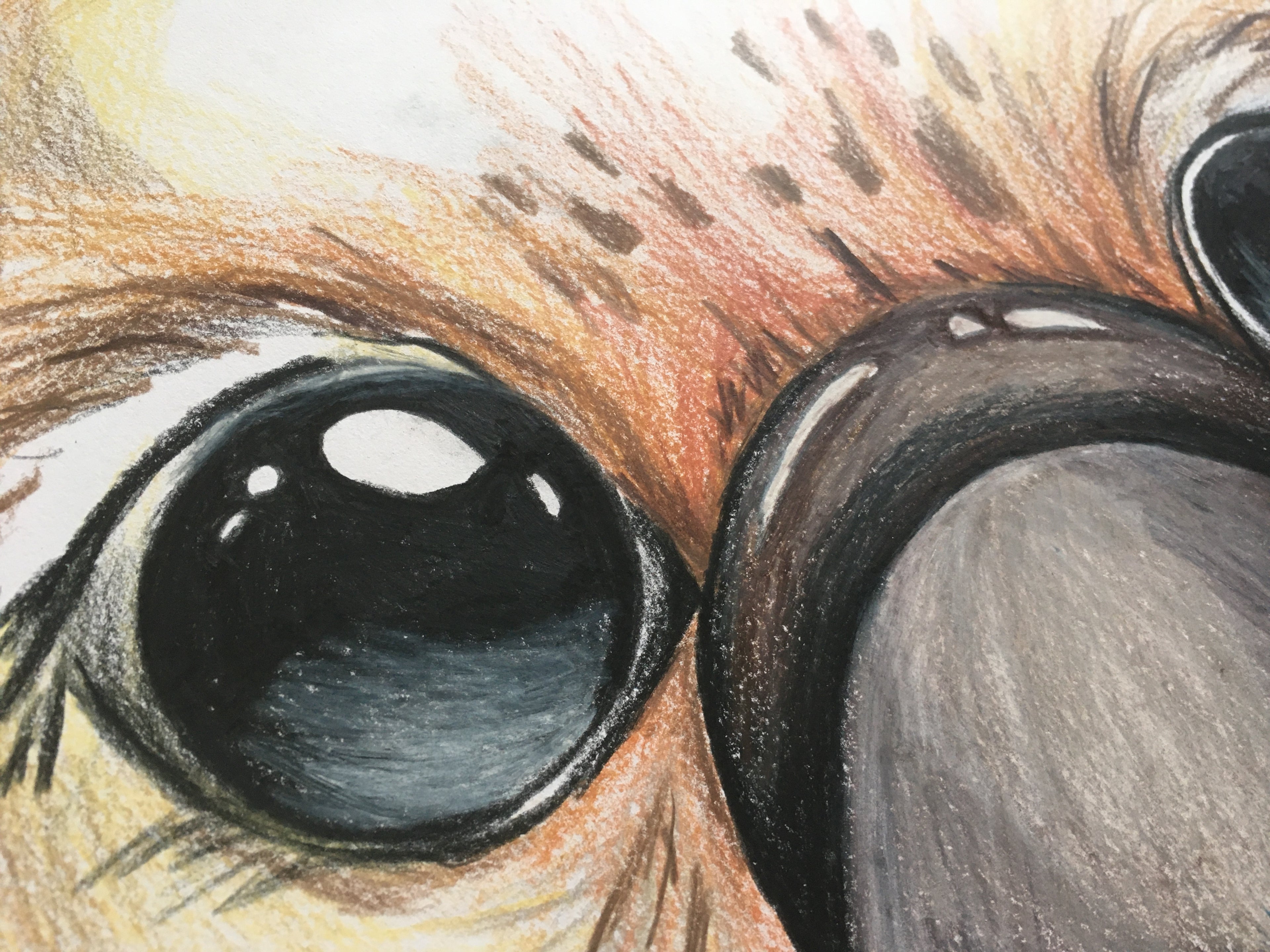 Platypus Art Print | George