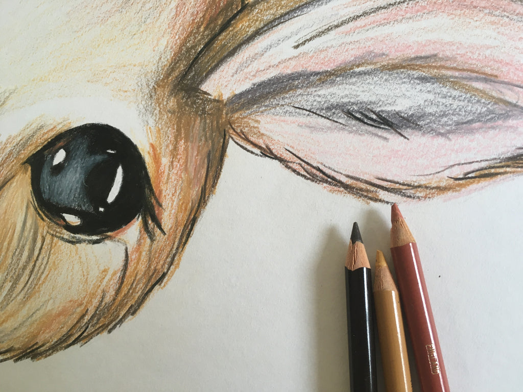 Kangaroo Art Print | Isabel