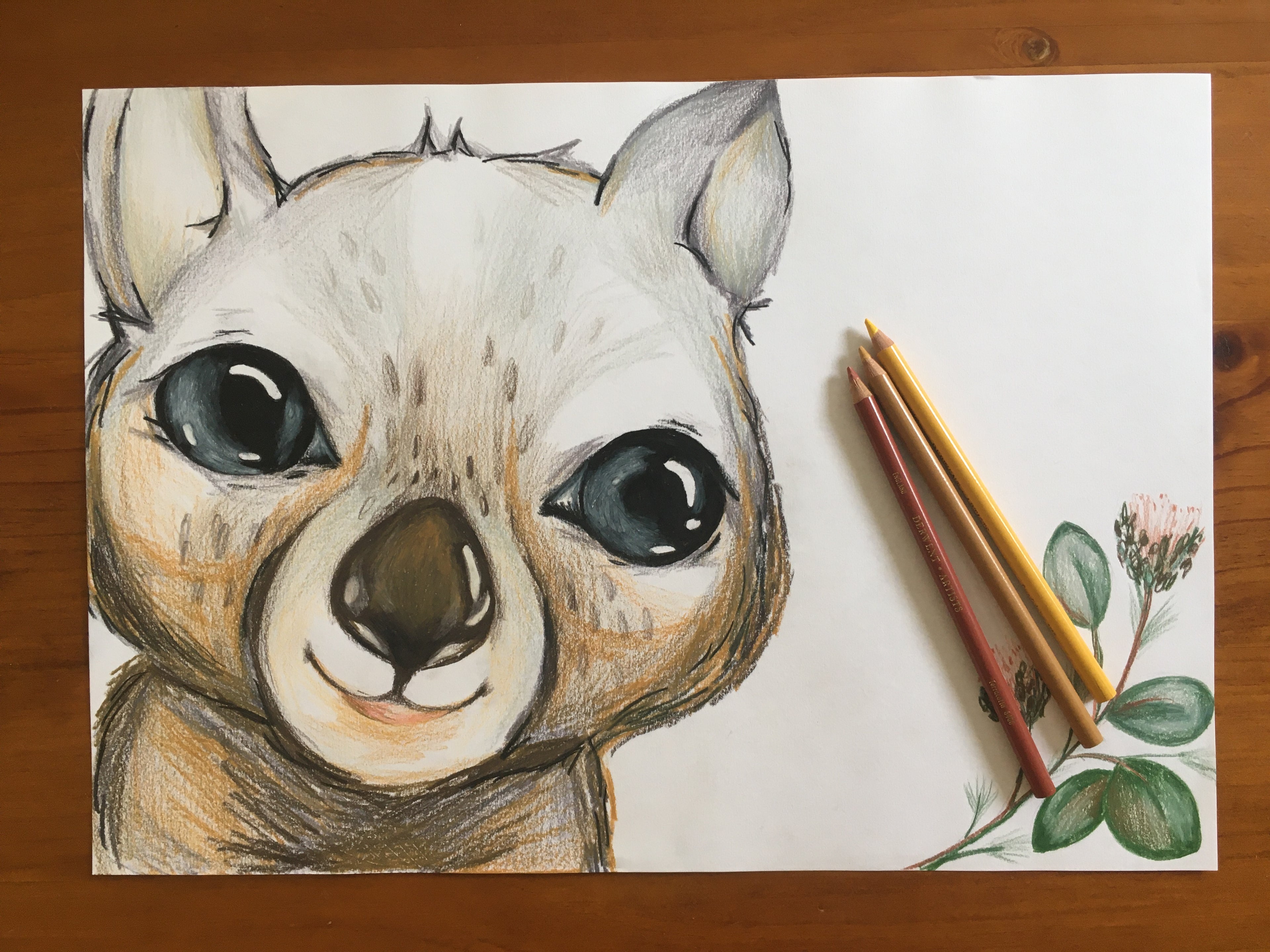 Wombat Art Print | Sydney