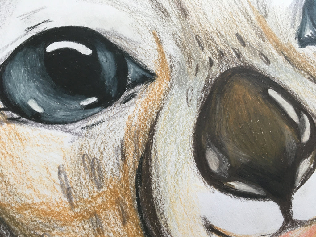 Wombat Art Print | Sydney