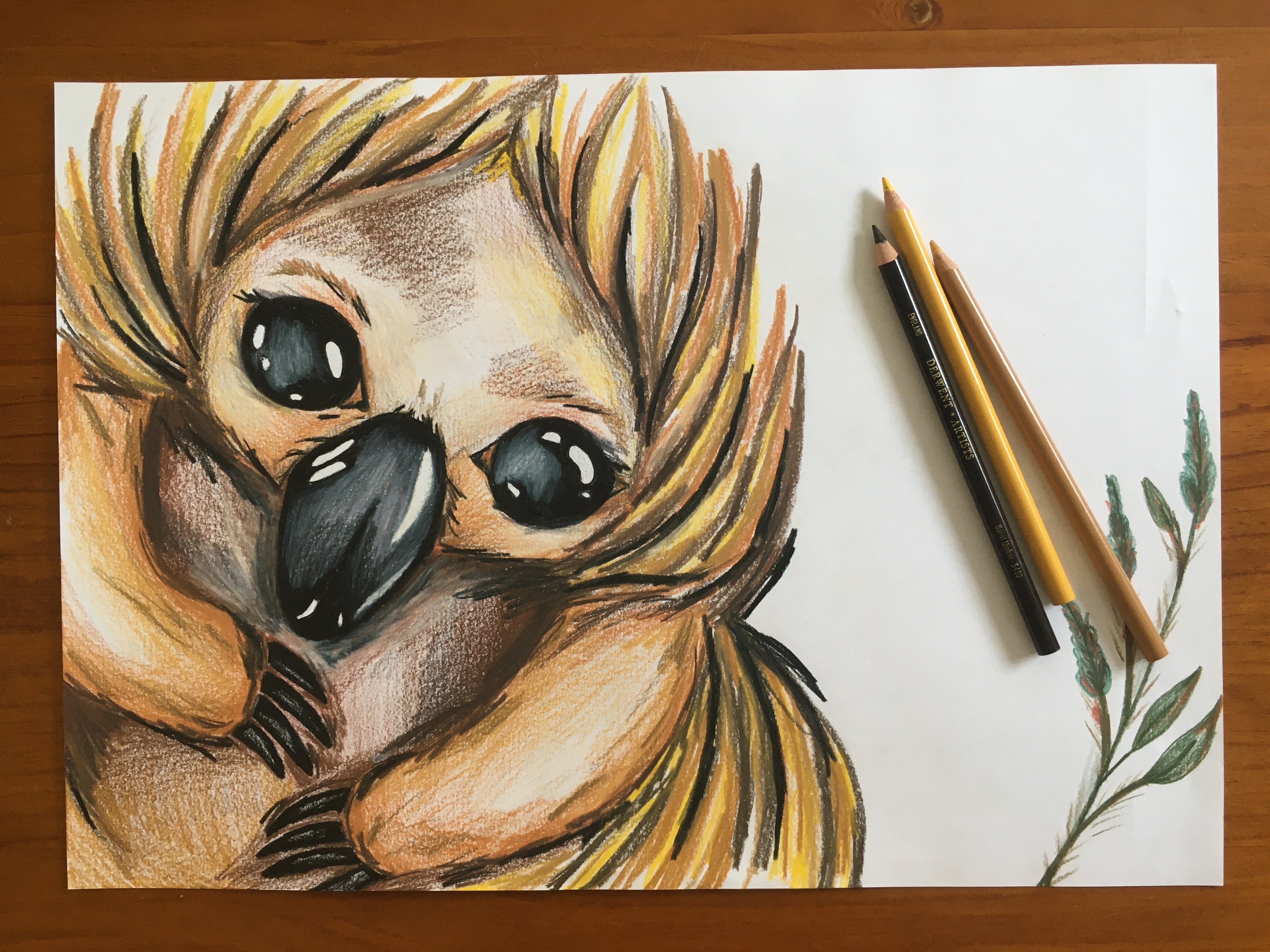 Echidna Art Print | Mabel