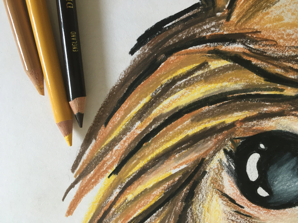 Echidna Art Print | Mabel