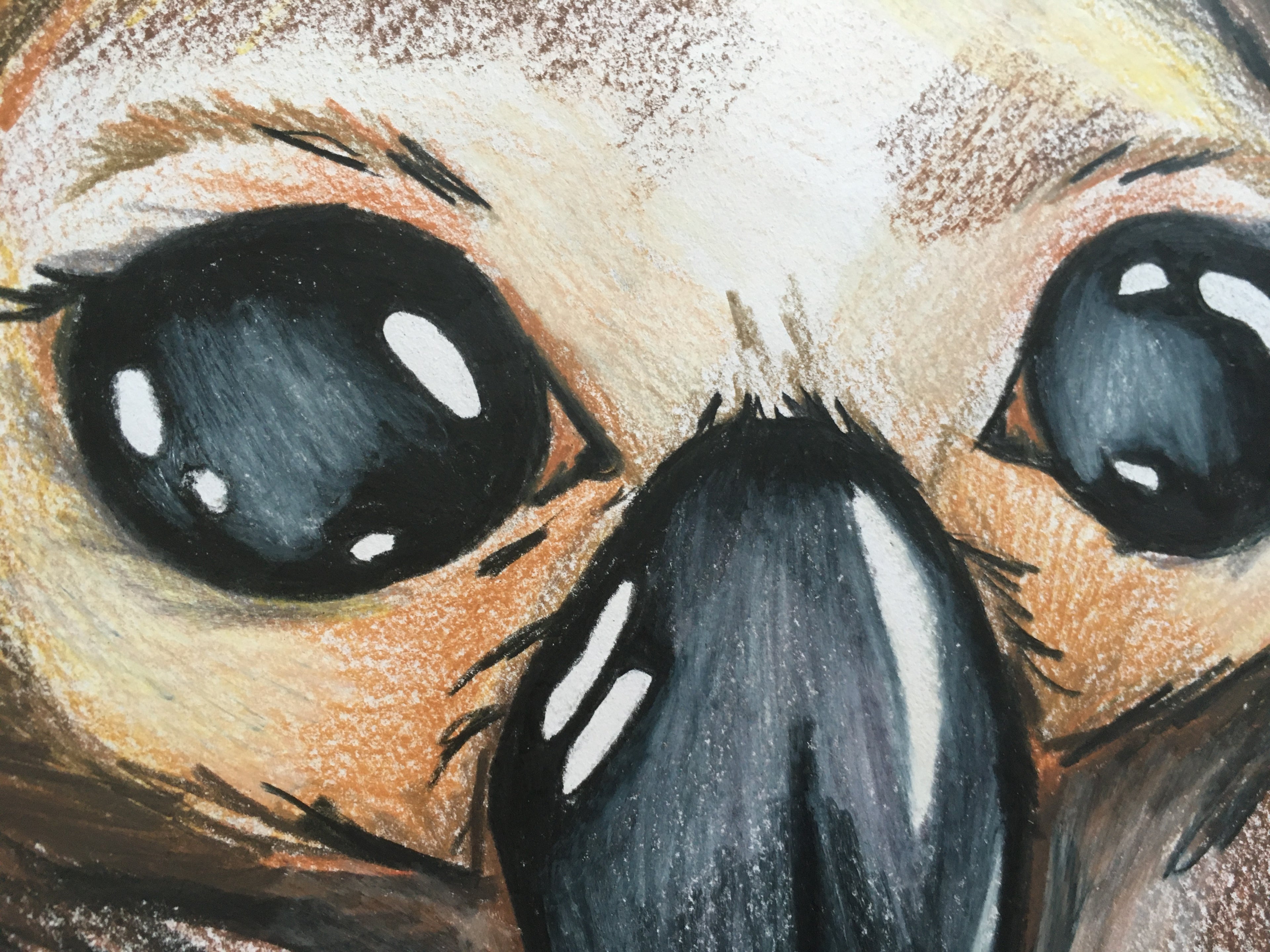 Echidna Art Print | Mabel