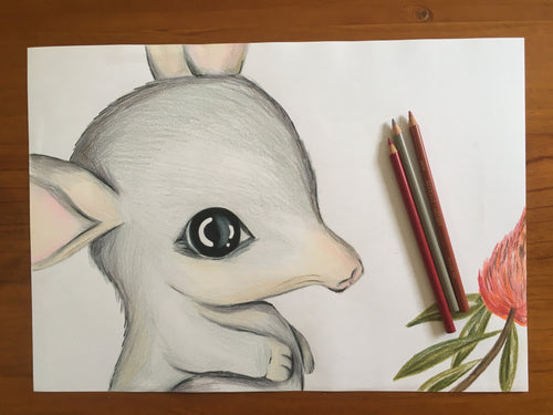Bilby Art Print | Harry