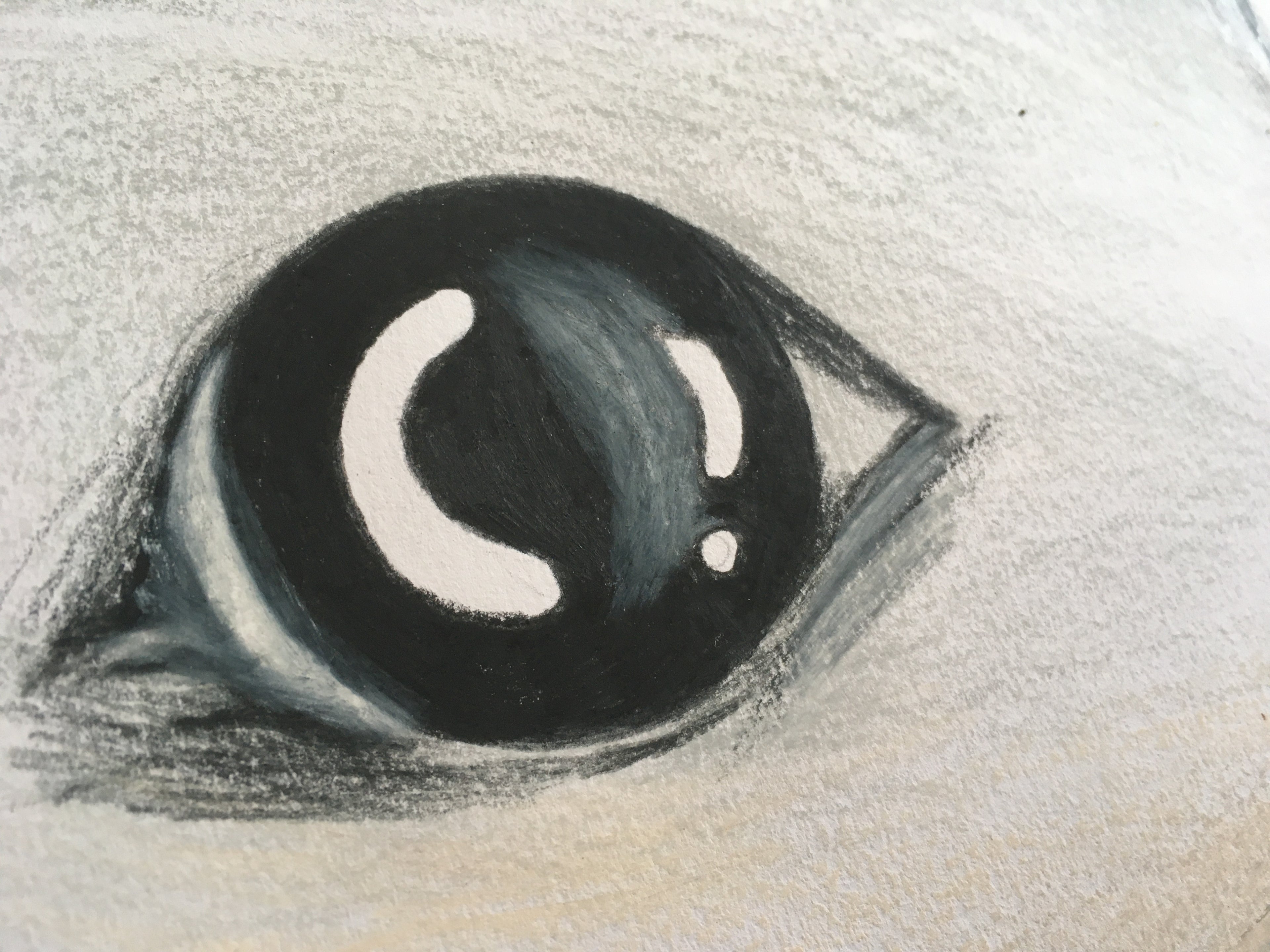 Bilby Art Print | Harry