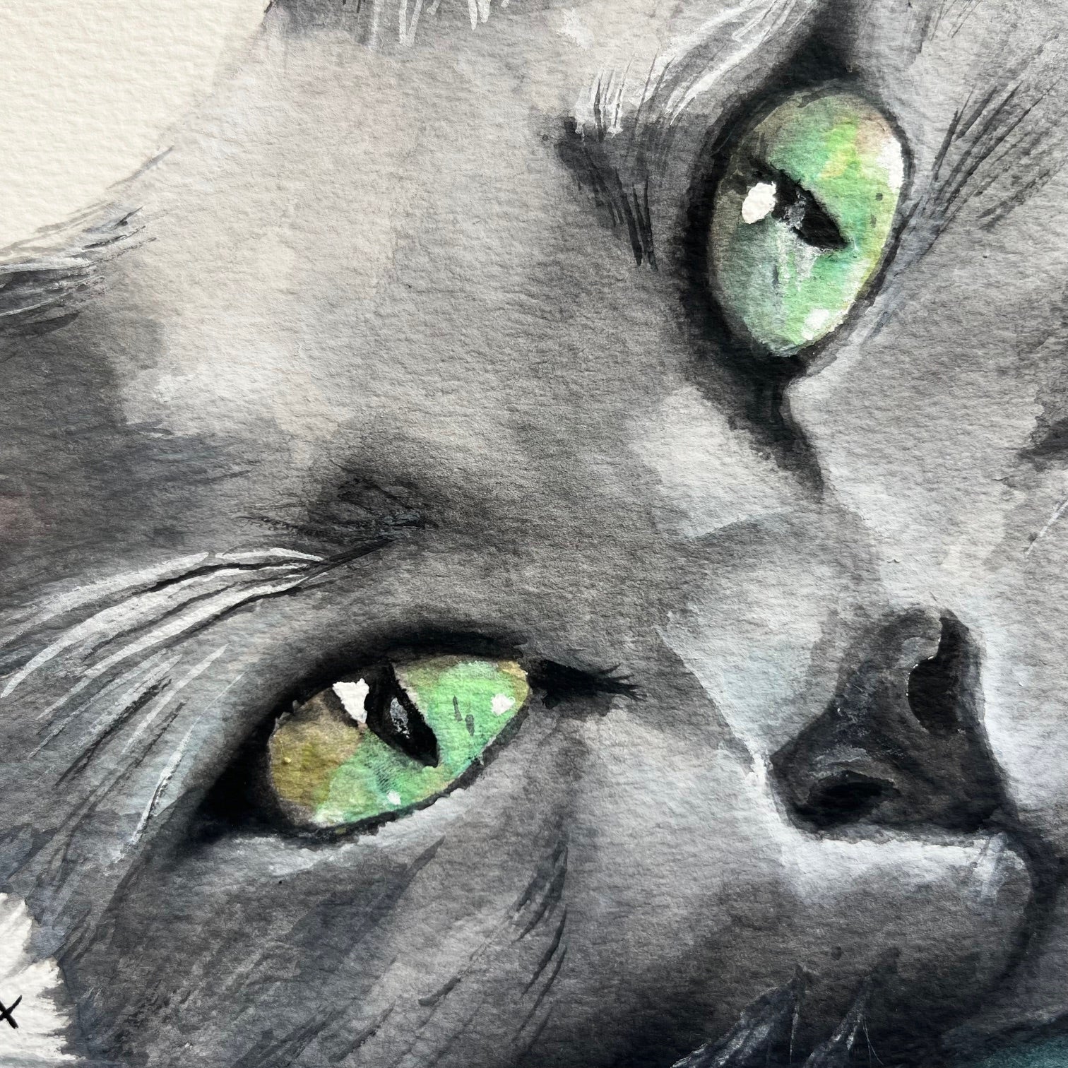 Custom Commission Cat Portrait