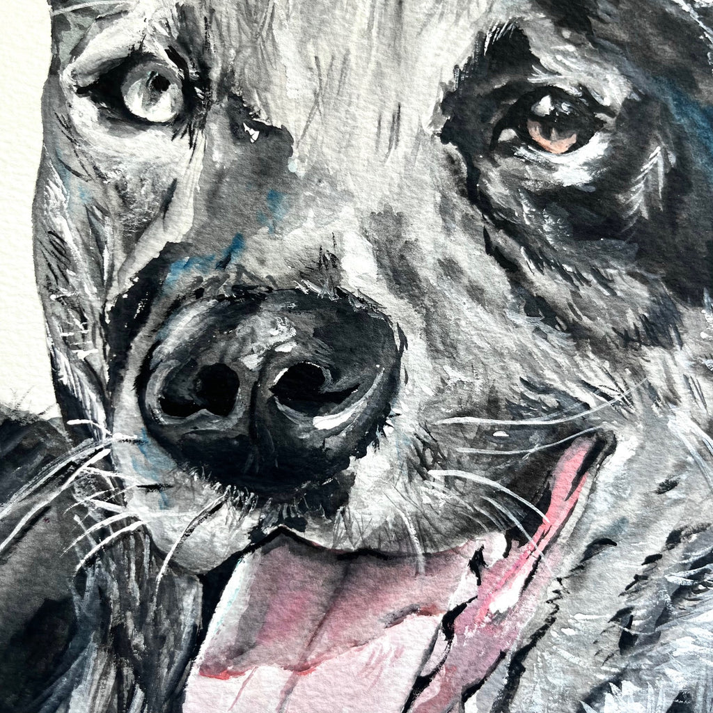 Custom Commission Dog Portrait