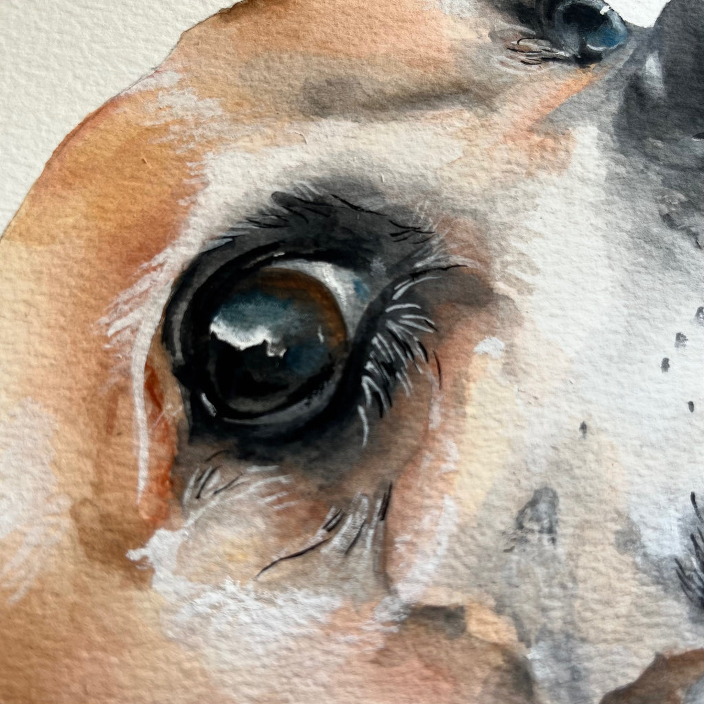 Custom Commission Dog Portrait