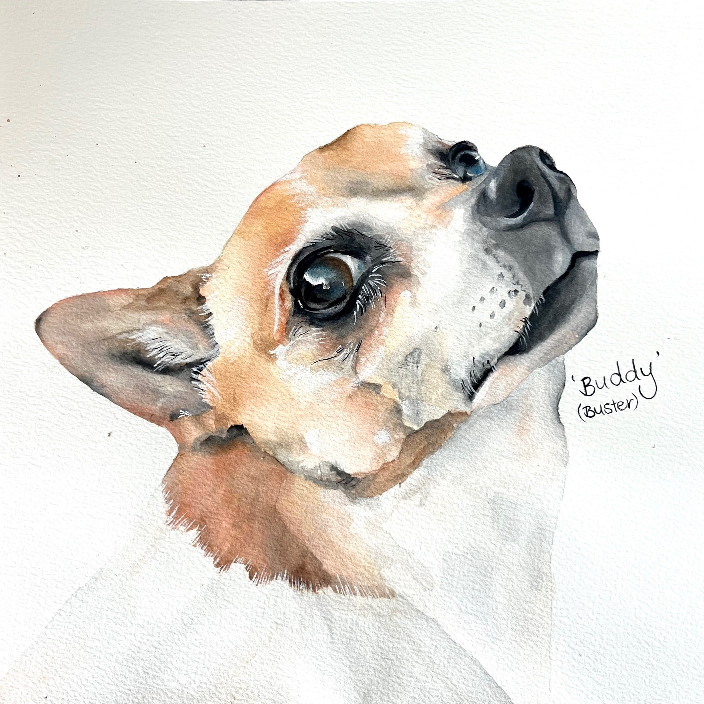 Custom Commission Dog Portrait