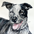 Custom Commission Dog Portrait