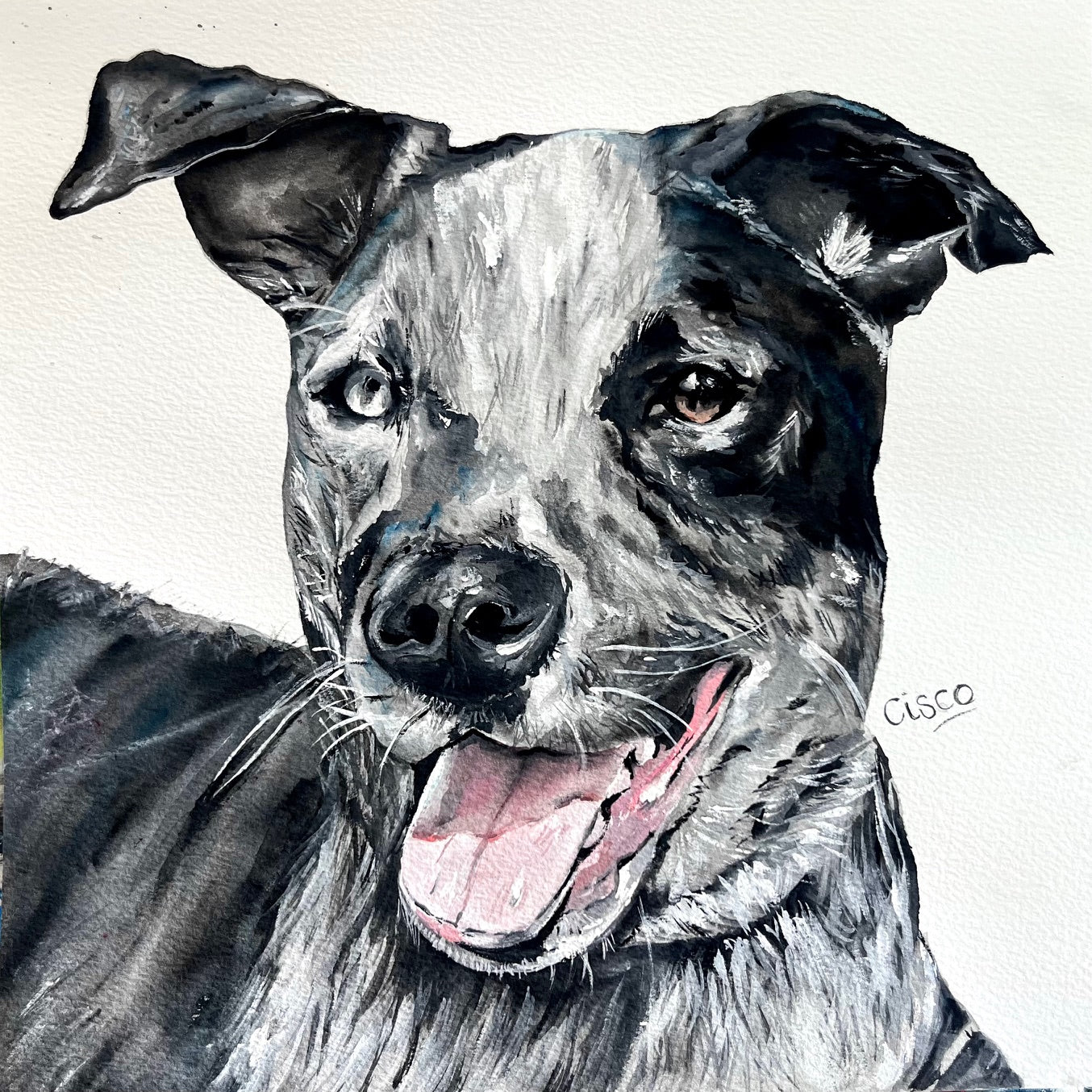 Custom Commission Dog Portrait