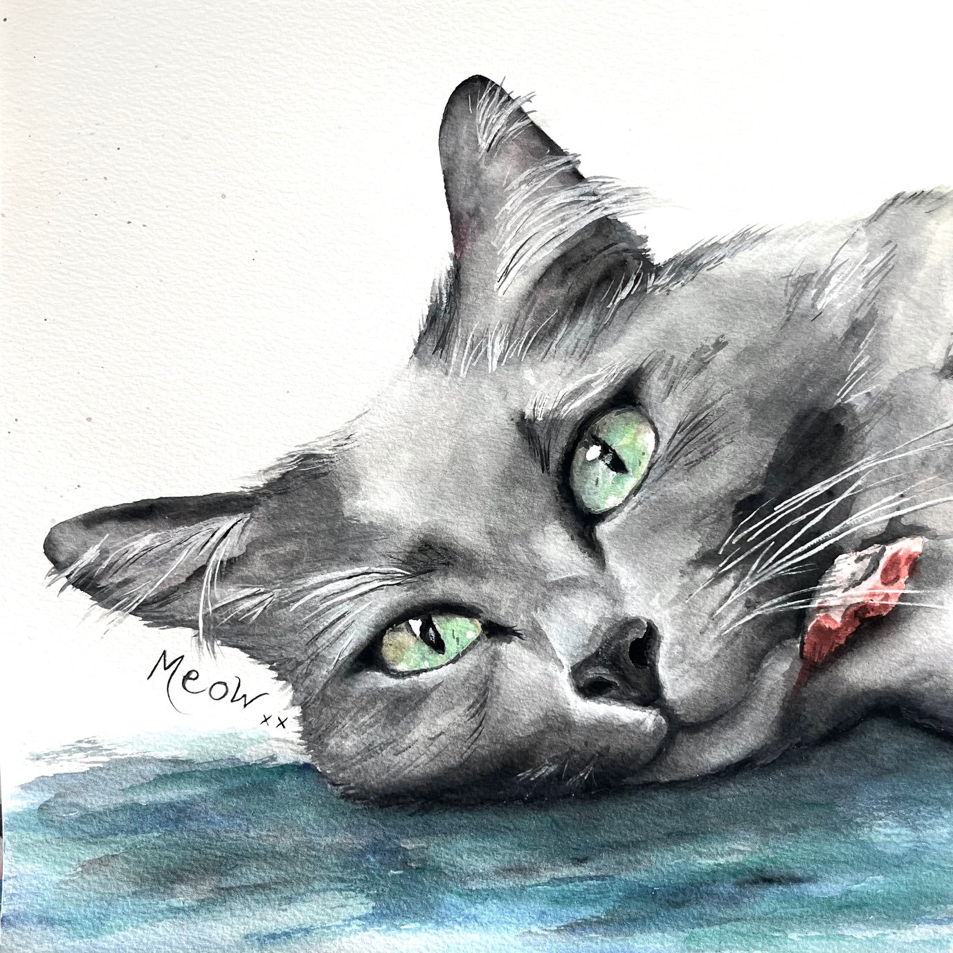 Custom Commission Cat Portrait
