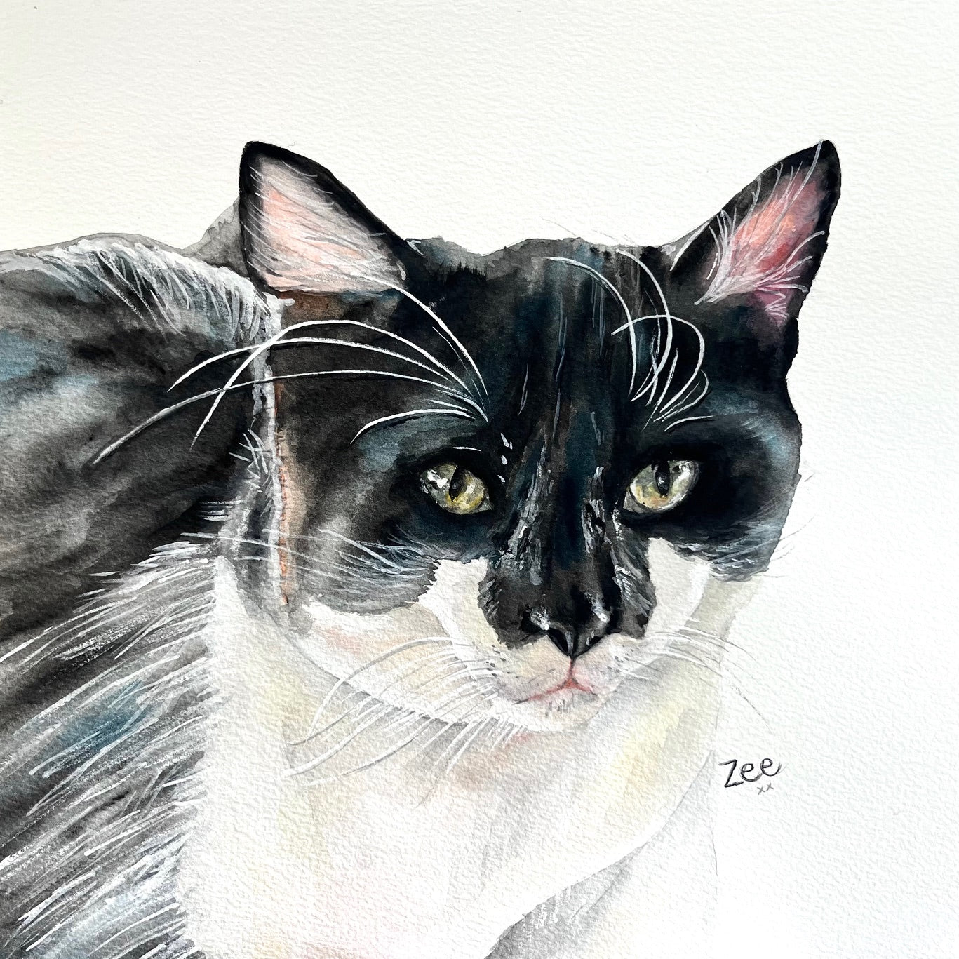 Custom Commission Cat Portrait