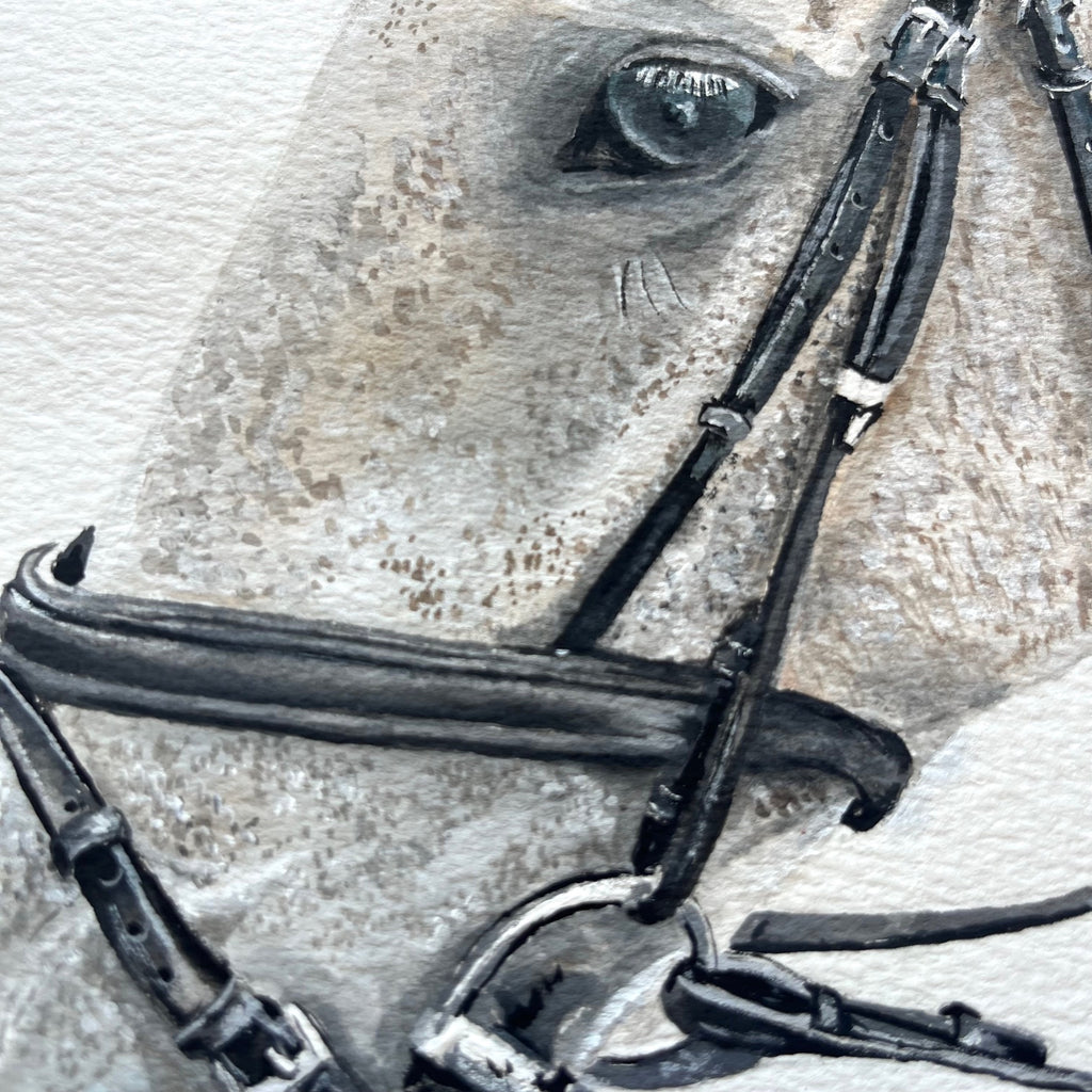 Custom Commission Horse Portrait