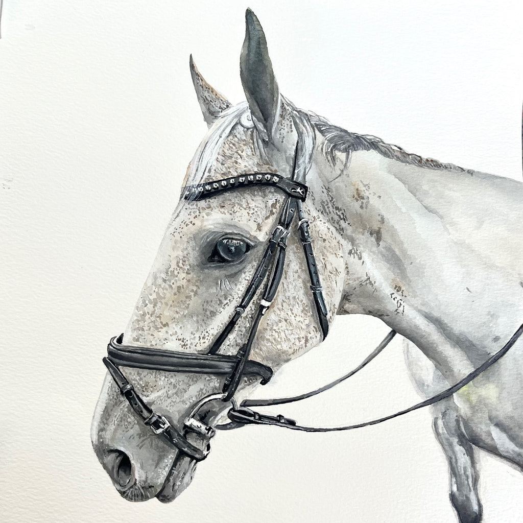 Custom Commission Horse Portrait