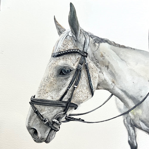 Custom Commission Horse Portrait